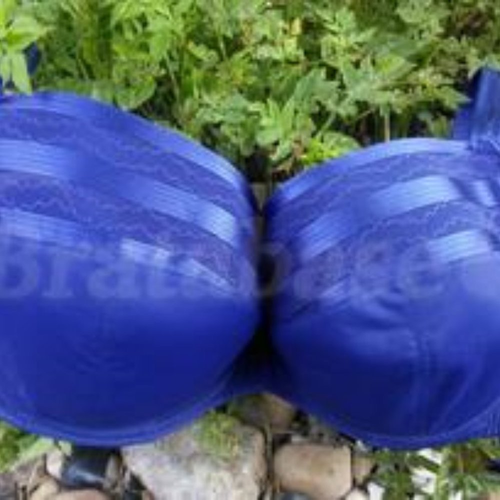 NWT  Walmart Maison Lejaby G41431 Nue 3 Part Padde